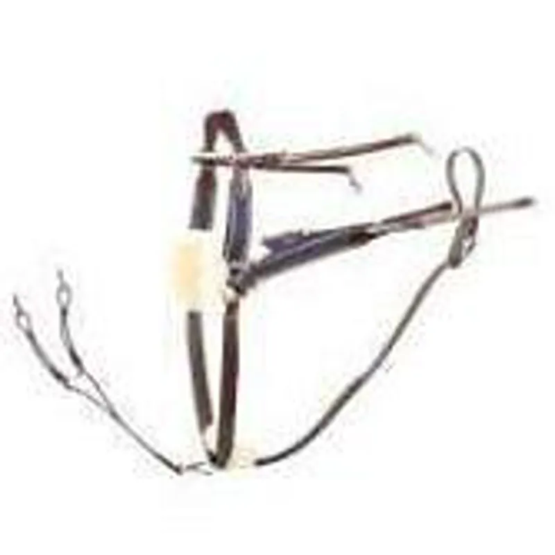 Jeffries 5-point Competition Breastplate